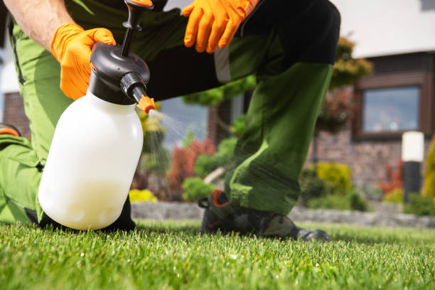 Pest Prevention Services in Lee Acres, NM