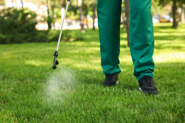 Best Pest Control Near Me in Lee Acres, NM