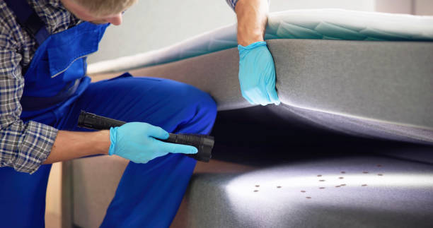 Best Bed Bug Extermination  in Lee Acres, NM