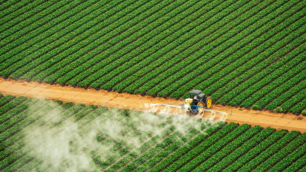 Best Best Pest Control Companies  in Lee Acres, NM