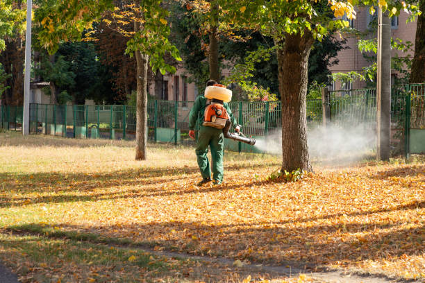 Best Pest Prevention Services  in Lee Acres, NM