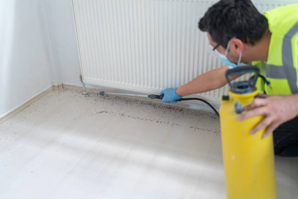 Best Emergency Pest Control  in Lee Acres, NM